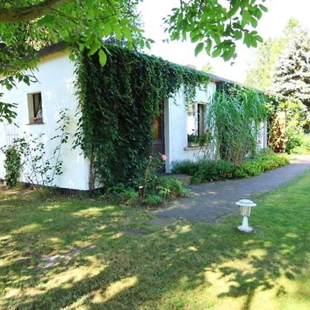 Ferienhaus Mit Garten Am Bodstedter Bodden Exteriör bild