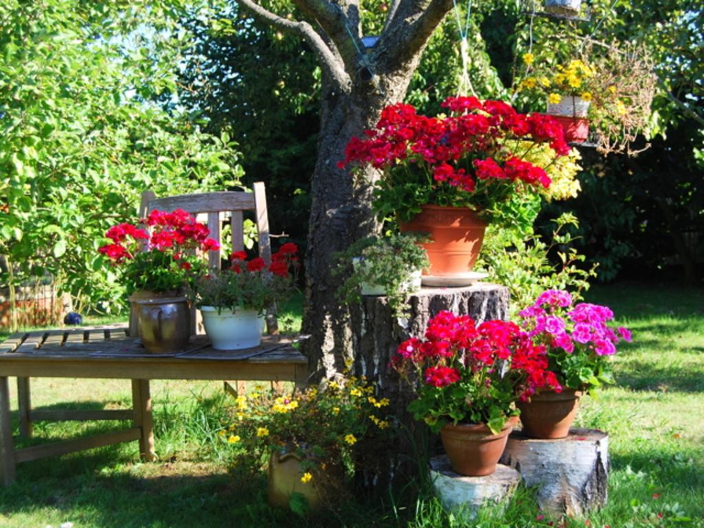 Ferienhaus Mit Garten Am Bodstedter Bodden Exteriör bild