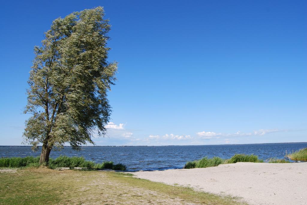 Ferienhaus Mit Garten Am Bodstedter Bodden Exteriör bild